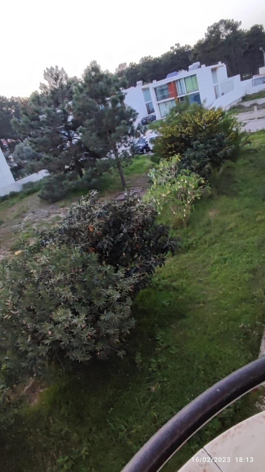 Beach, Surf And Golf Apartment Near Lisbon Aroeira  Eksteriør bilde